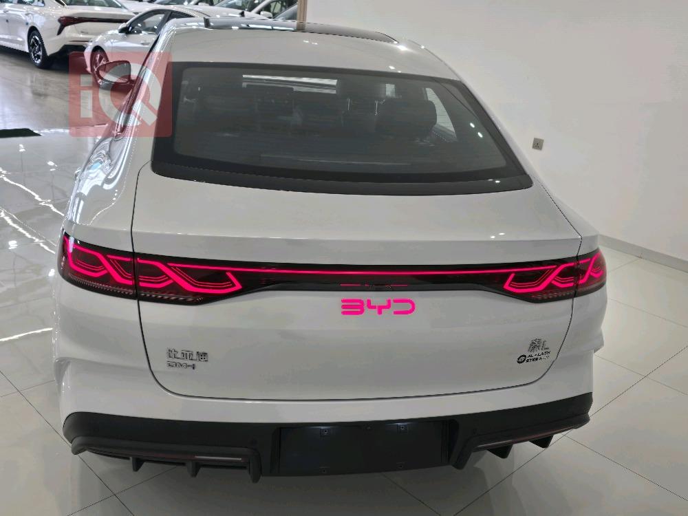 بي واي دي كوين L DM-i